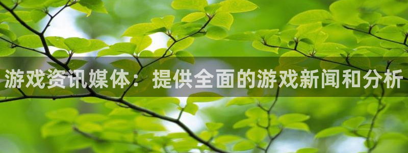 杜邦娱乐4开户：游戏资讯媒体：提供全面的游戏新闻和分析
