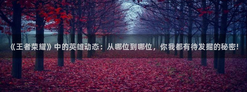 杜邦娱乐手机网页版登录：《王者荣耀》中的英雄动态：从哪位到哪