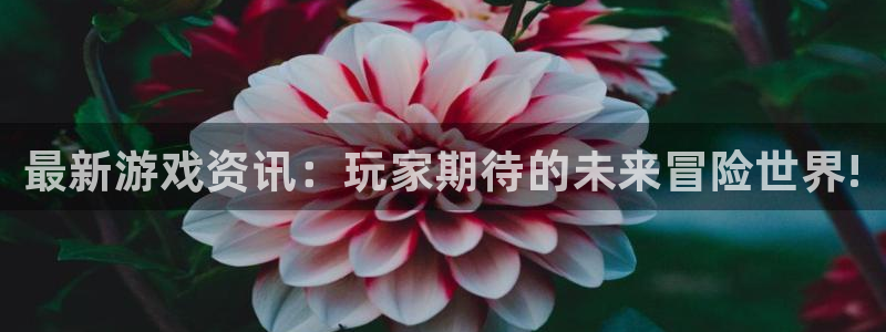 杜邦娱乐注册开户：最新游戏资讯：玩家期待的未来冒险世界!