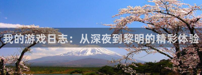 杜邦娱乐娱乐：我的游戏日志：从深夜到黎明的精彩体验