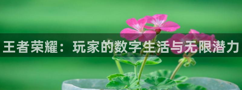 手机版杜邦娱乐客户端下载：王者荣耀：玩家的数字生活与无限潜力