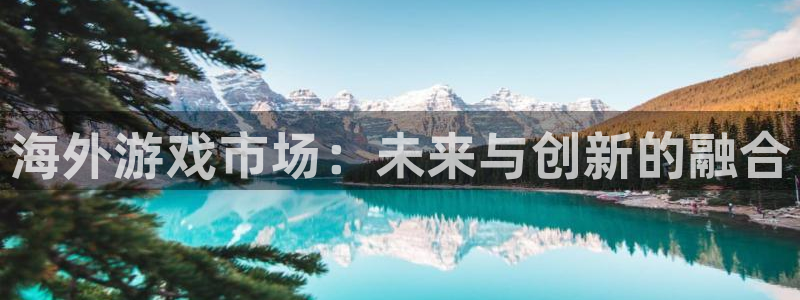 杜邦娱乐开户测速：海外游戏市场：未来与创新的融合