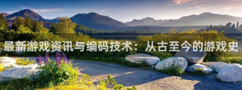 杜邦娱乐app：最新游戏资讯与编码技术：从古至今的游戏史