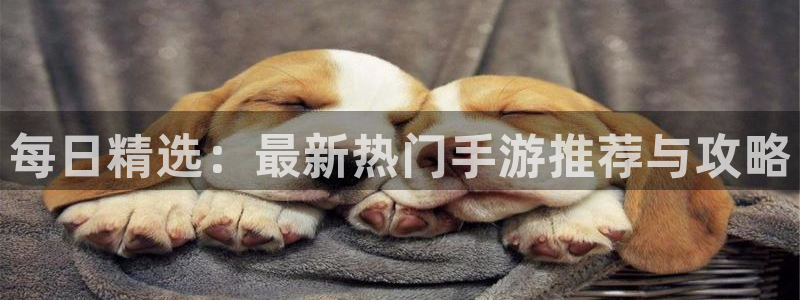 杜邦娱乐主管：每日精选：最新热门手游推荐与攻略