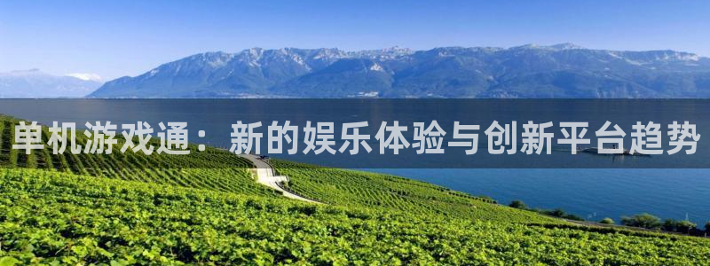 杜邦娱乐登录：单机游戏通：新的娱乐体验与创新平台趋势