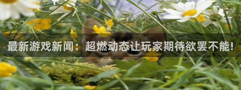 杜邦娱乐线路测试：最新游戏新闻：超燃动态让玩家期待欲罢不能!