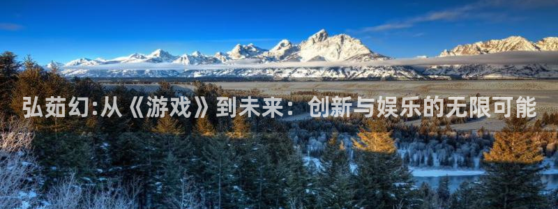 杜邦娱乐集团：弘茹幻:从《游戏》到未来：创新与娱乐的无限可能