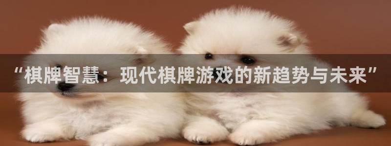 杜邦娱乐app最新版本更新内容详情在哪：“棋牌智慧：现代棋牌