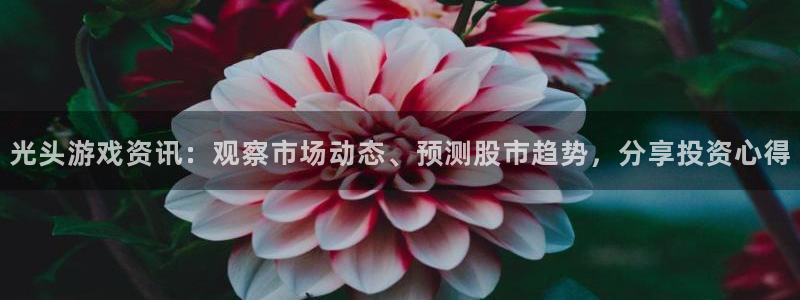 杜邦娱乐app官网入口网址：光头游戏资讯：观察市场动态、预测