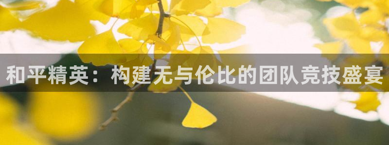 杜邦娱乐官网登录：和平精英：构建无与伦比的团队竞技盛宴
