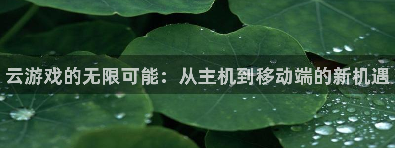 杜邦娱乐网页登录入口下载：云游戏的无限可能：从主机到移动端的