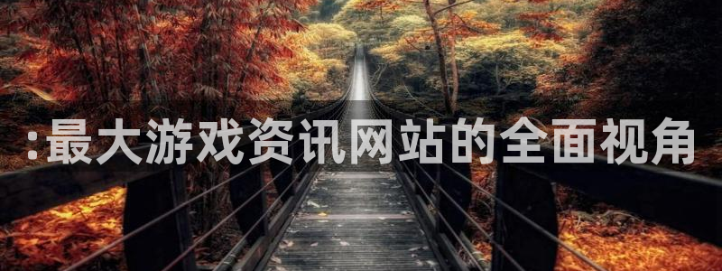 杜邦娱乐科技：:最大游戏资讯网站的全面视角