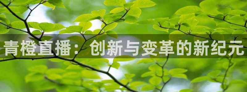 劲爆体育高清免费直播观看：青橙直播：创新与变革的新纪元