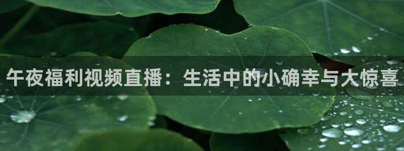 劲爆体育直播免费观看直播间：午夜福利视频直播：生活中的小确幸与大惊喜