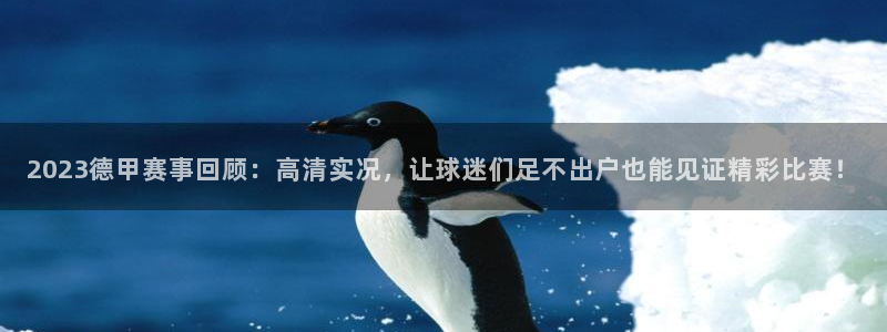 劲爆体育直播高清：2023德甲赛事回顾：高清实况，让球迷们足不出户也能见证精彩比赛！