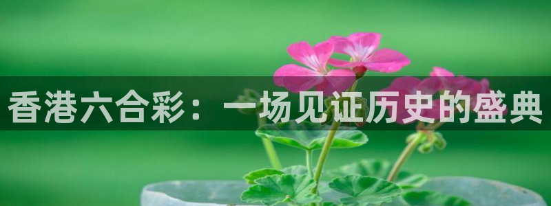 劲爆体育今日节目表直播：香港六合彩：一场见证历史的盛典
