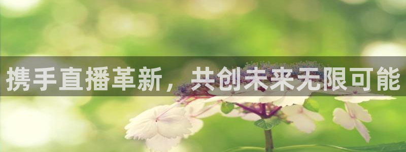 劲爆体育高清免费直播观看：携手直播革新，共创未来无限可能