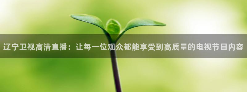 nba直播劲爆体育：辽宁卫视高清直播：让每一位观众都能享受到高质量的电视节目内容