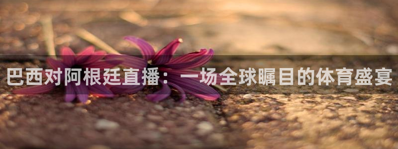 nba劲爆体育直播在哪看：巴西对阿根廷直播：一场全球瞩目的体育盛宴
