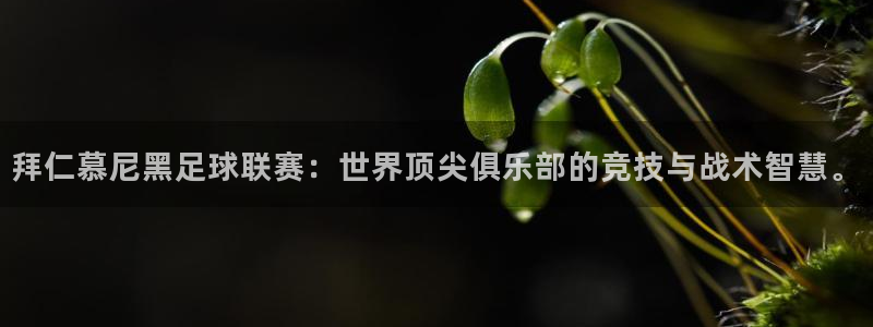 劲爆体育在线直播观看上海三打一：拜仁慕尼黑足球联赛：世界顶尖俱乐部的竞技与战术智慧。